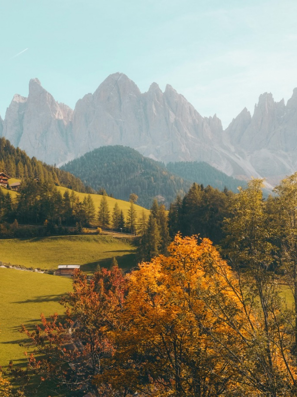 Principiantes Natures 02